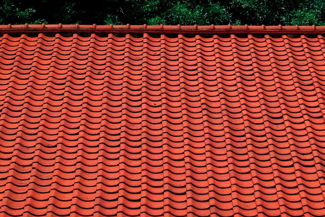 Clay tiles on a roof