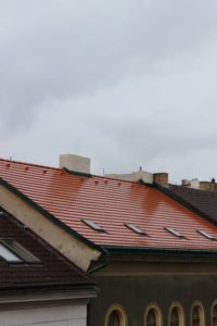 Roof of a house