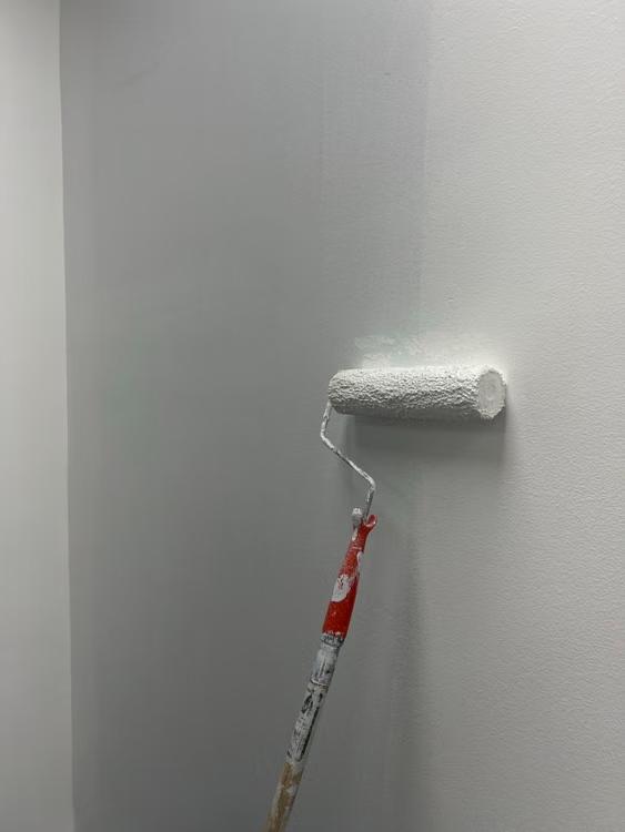 fresh application of paint on a wall with a paint roller